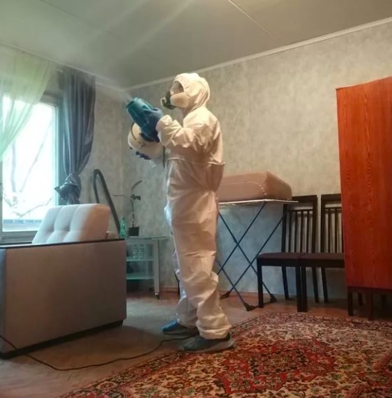 дезинсекция квартиры в Северске